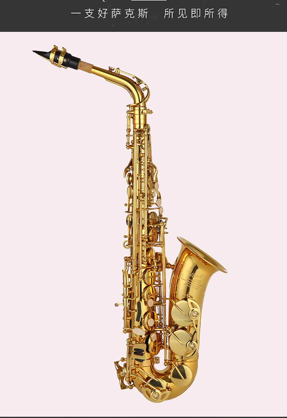 531AS薩克斯高清大圖_1 531AS薩克斯高清大圖_1